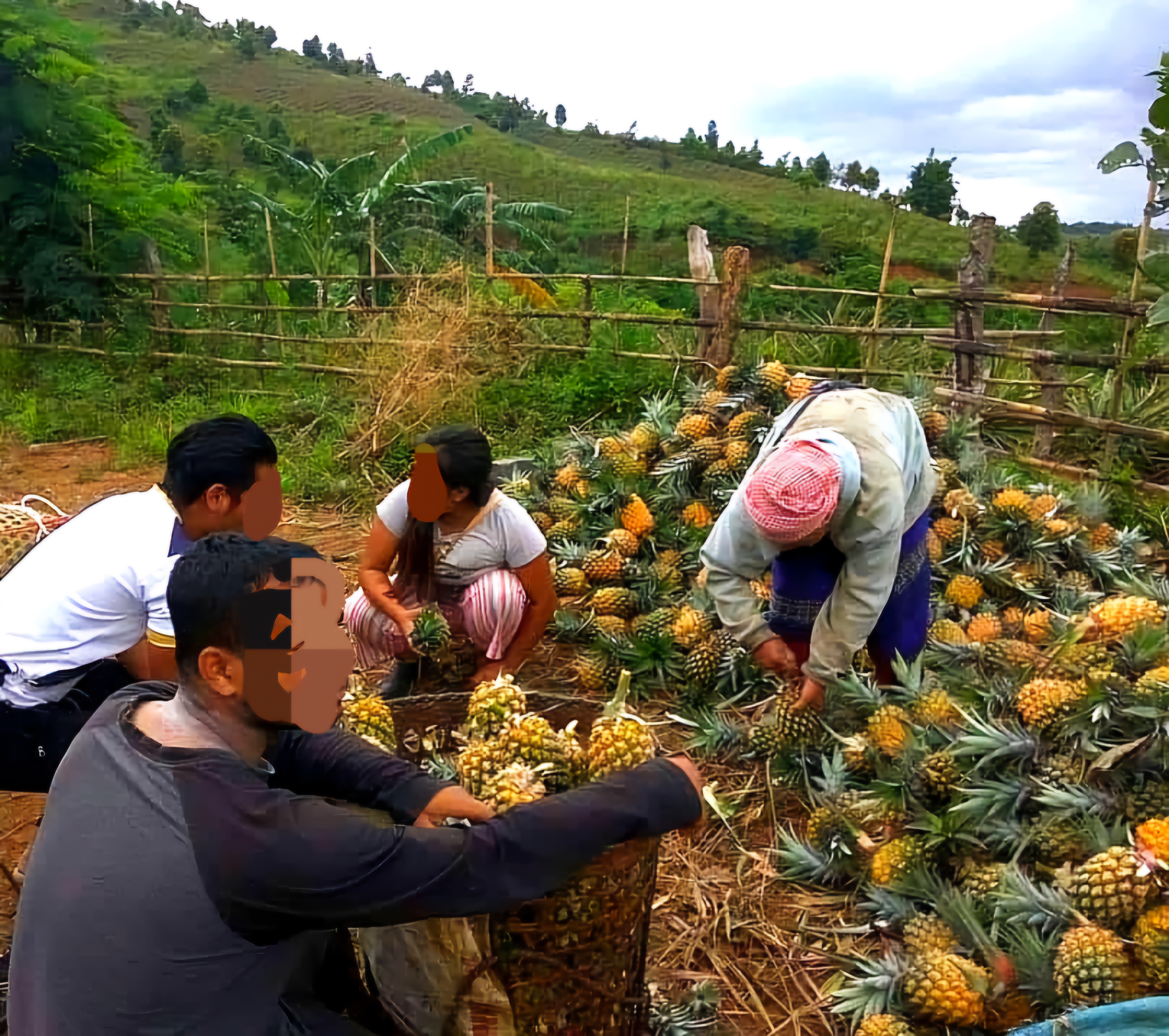 Krushi Karma Naturals — community infrastructuring in Manipur